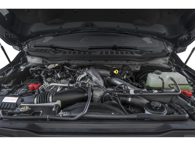 2025 Ford Super Duty F-350 Platinum DRW