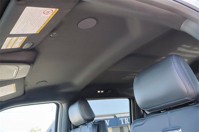 2025 Ford Super Duty F-450 Platinum DRW